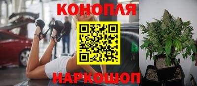 СК Нягань