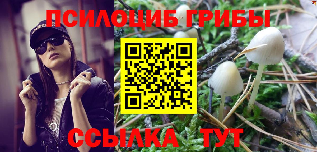 Псилоцибиновые грибы Psilocybe Сибай